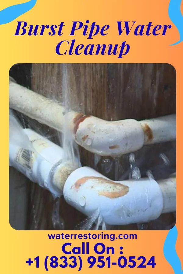 Burst Pipe Water Cleanup in Bear Creek, TX