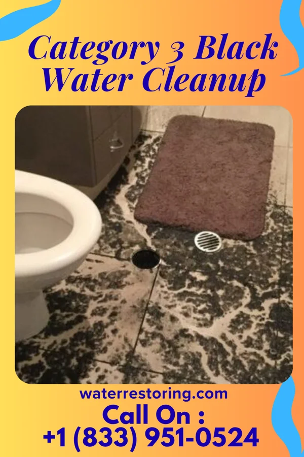 Category 3 Black Water Cleanup in Bear Creek, TX