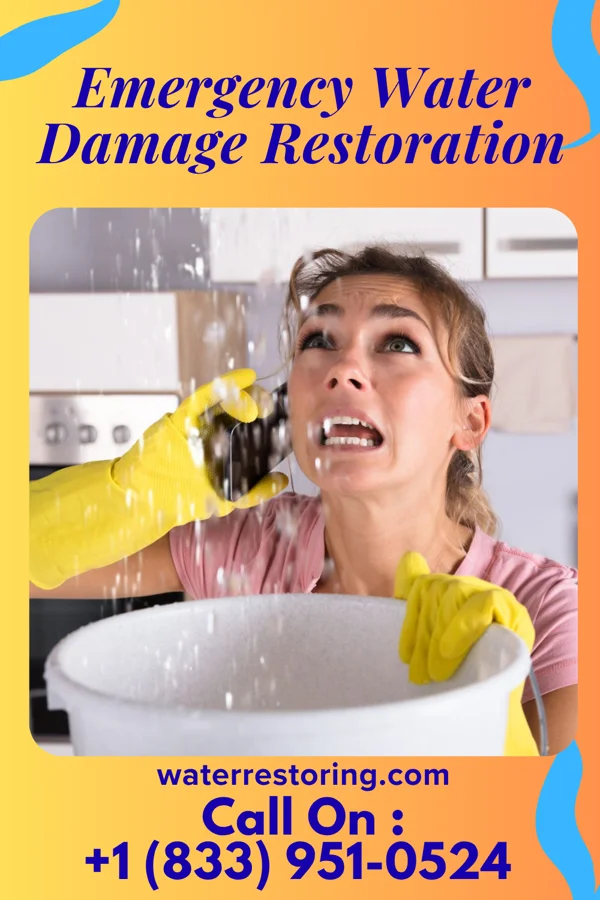 Emergency Water Damage Restoration in Bear Creek, TX