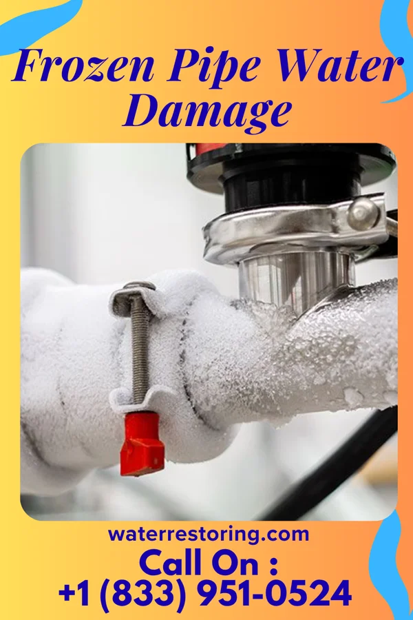 Frozen Pipe Water Damage in Bear Creek, TX
