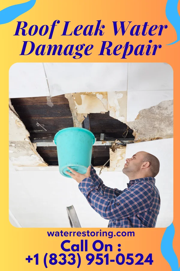 Roof Leak Water Damage Repair in Bear Creek, TX