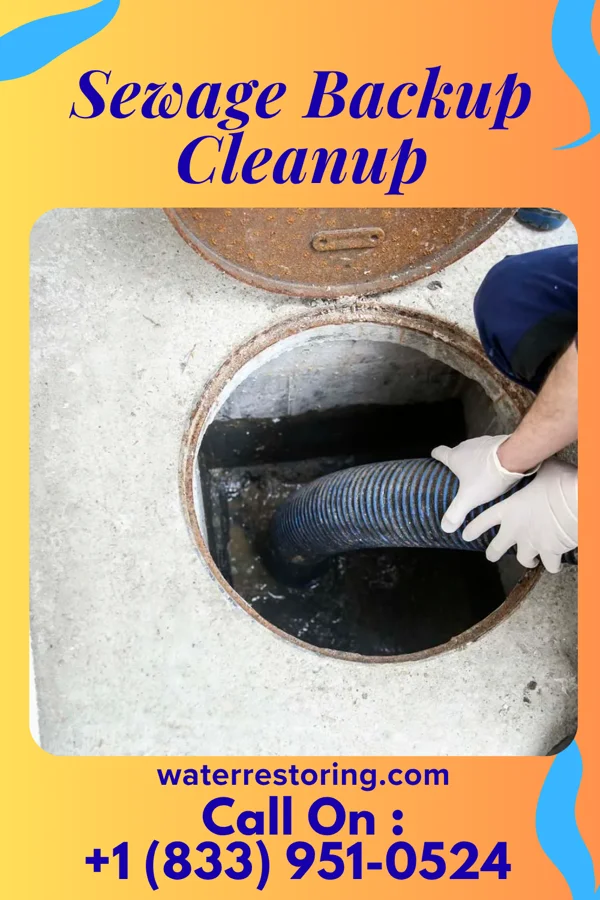 Sewage Backup Cleanup in Bear Creek, TX