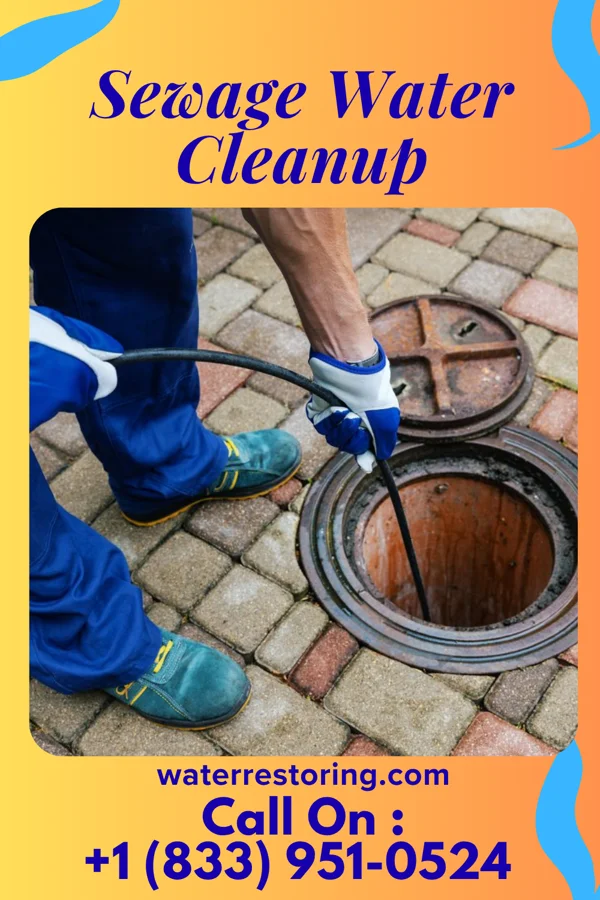 Sewage Water Cleanup in Bear Creek, TX