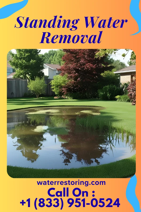 Standing Water Removal in Bear Creek, TX